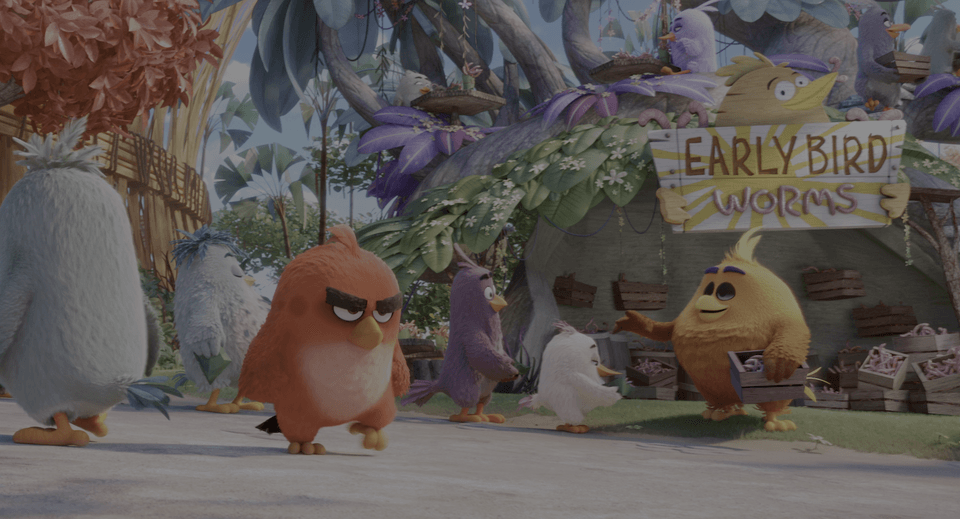 Angry Birds 4K 2016 Ultra HD 2160p