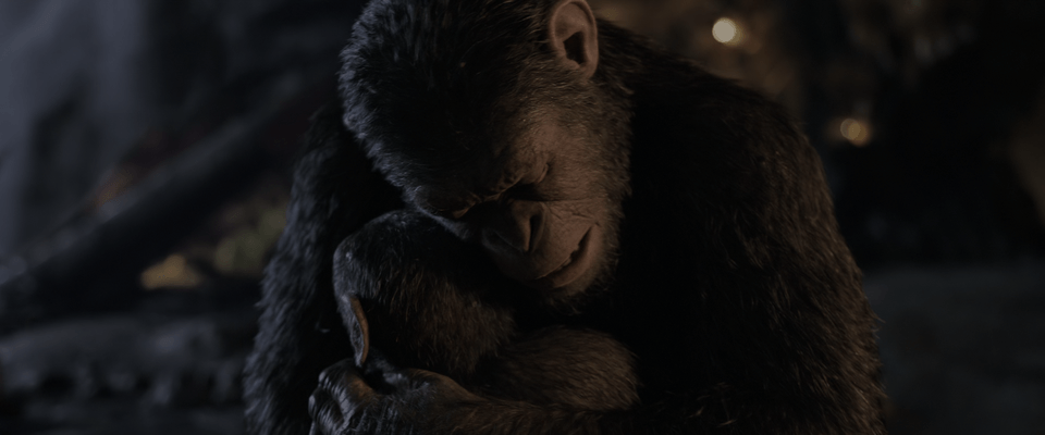 War for the Planet of the Apes 4K 2017 Ultra HD 2160p