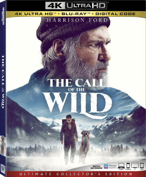The Call of the Wild 4K 2020 Ultra HD 2160p