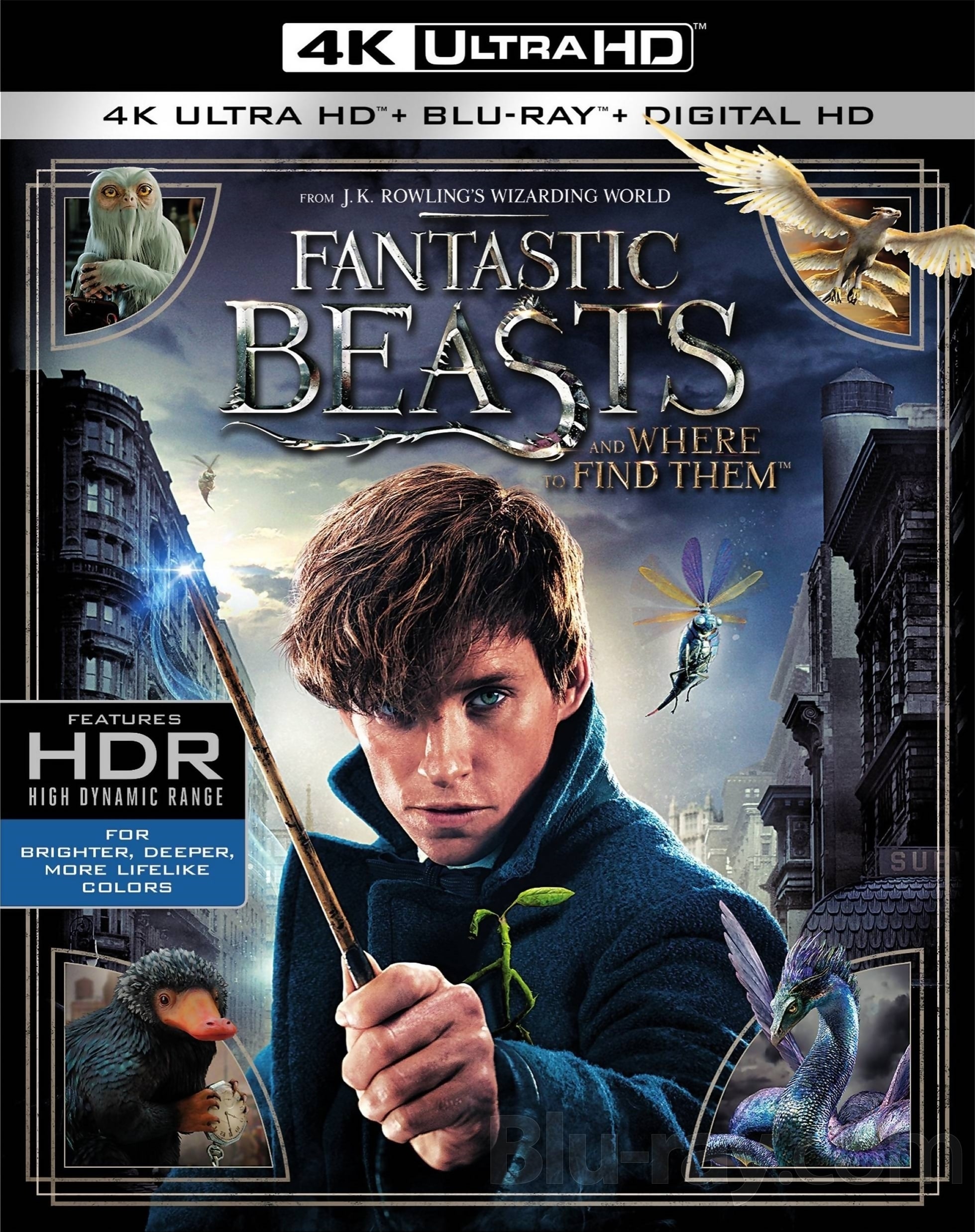 Fantastic Beasts and Where to Find Them 4K 2016 Ultra HD 2160p