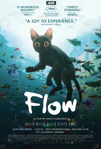 Flow 4K 2024 Ultra HD 2160p
